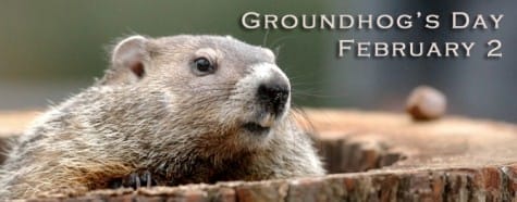 Groundhog-fp2